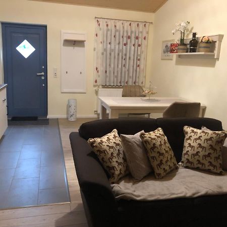 Ferienapartments Reitanlage Schenksolz Schenklengsfeld Eksteriør bilde