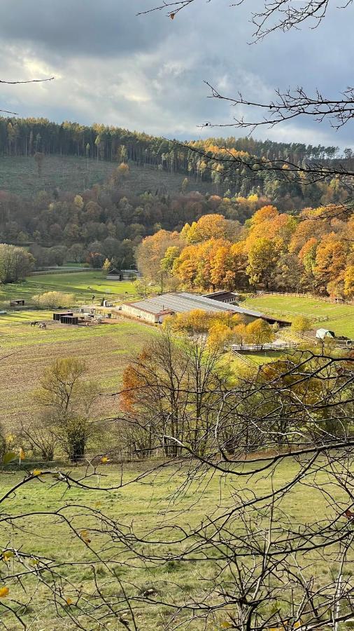 Ferienapartments Reitanlage Schenksolz Schenklengsfeld Eksteriør bilde